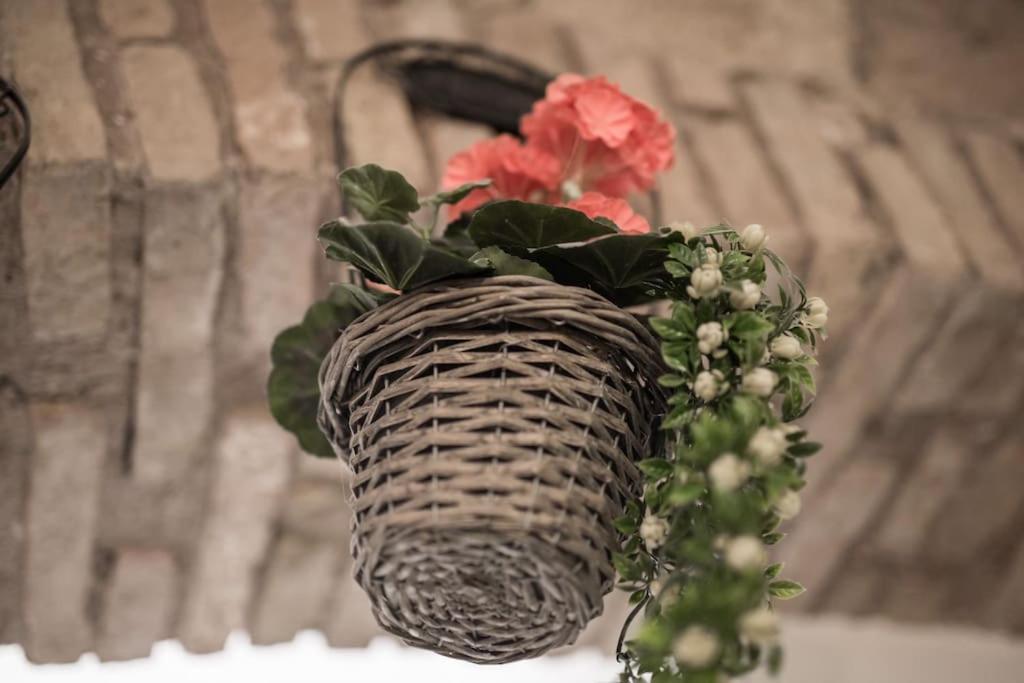 Shabby Apartment @Trastevere Рим Экстерьер фото
